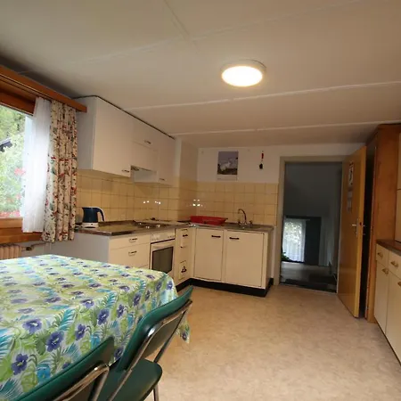 Ferienhaus Alpenperle Saas301